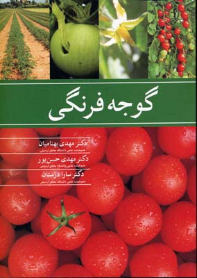 گوجه فرنگی